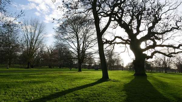 Cassiobury, Watford