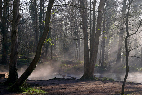 Cassiobury, Watford