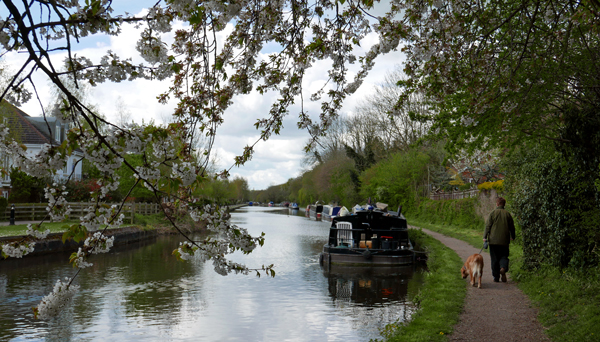 Cassiobury, Watford