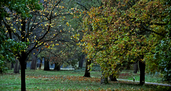 Cassiobury, Watford