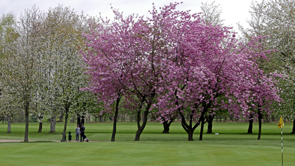 Cassiobury, Watford