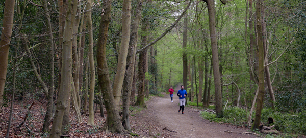 Cassiobury, Watford