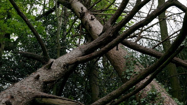 Cassiobury, Watford