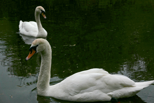 Cassiobury, Watford