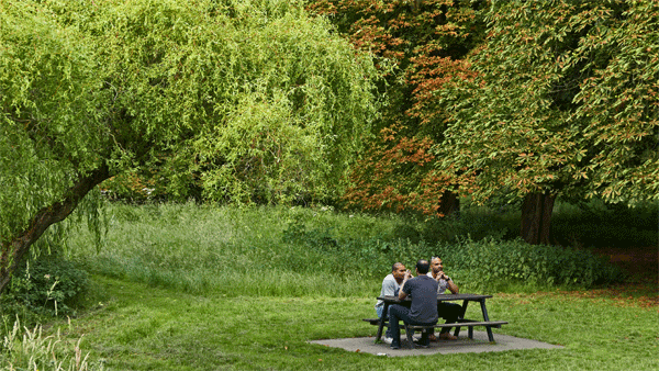 Cassiobury Park, Watford