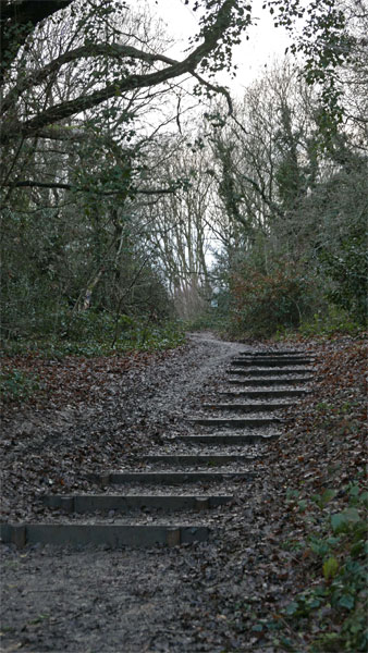 Cassiobury Park, Watford