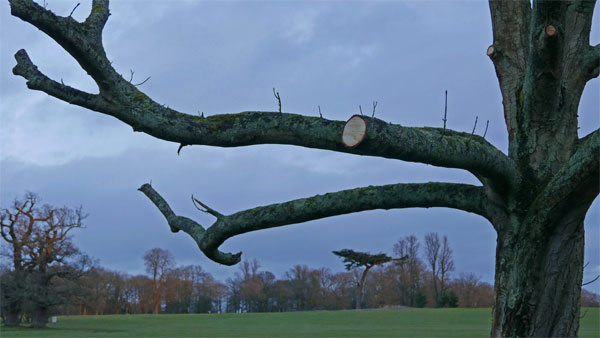 Cassiobury Park, Watford