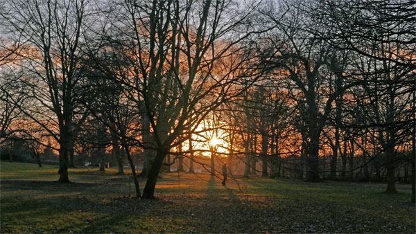 Cassiobury Park, Watford