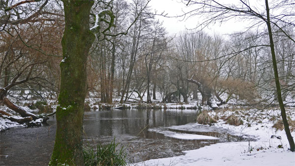 Cassiobury Park, Watford