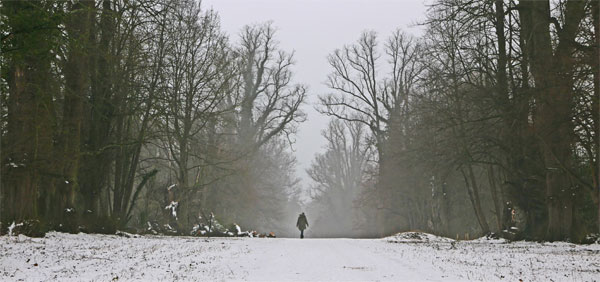 Cassiobury Park, Watford