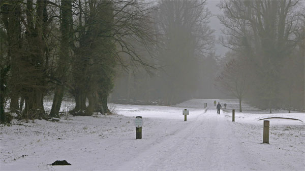 Cassiobury Park, Watford