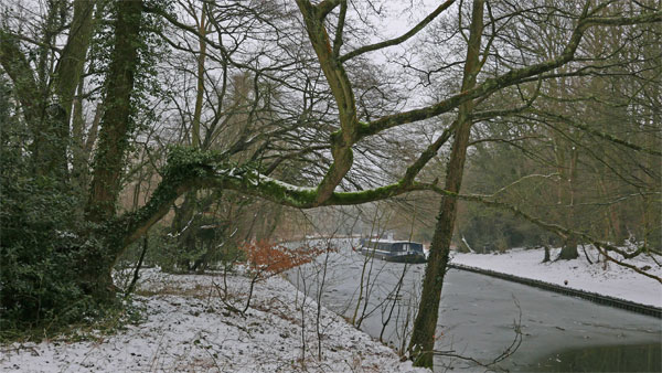 Cassiobury Park, Watford