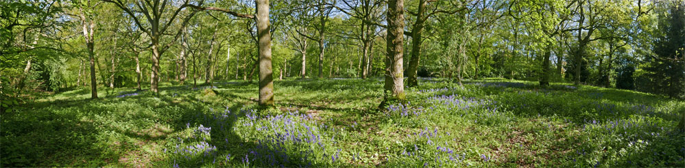 Cassiobury Park, Watford