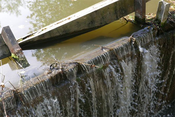 Cassiobury Park, Watford